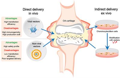 Non-viral Gene Therapy for Osteoarthritis